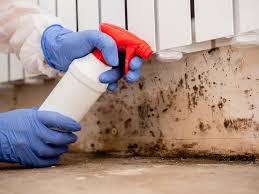 Best Industrial Mold Remediation  in Lake Mary, FL